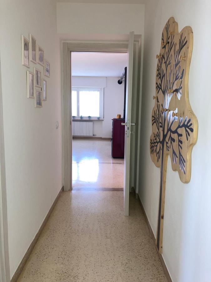 Meraki Dolomiti Longarone Εξωτερικό φωτογραφία