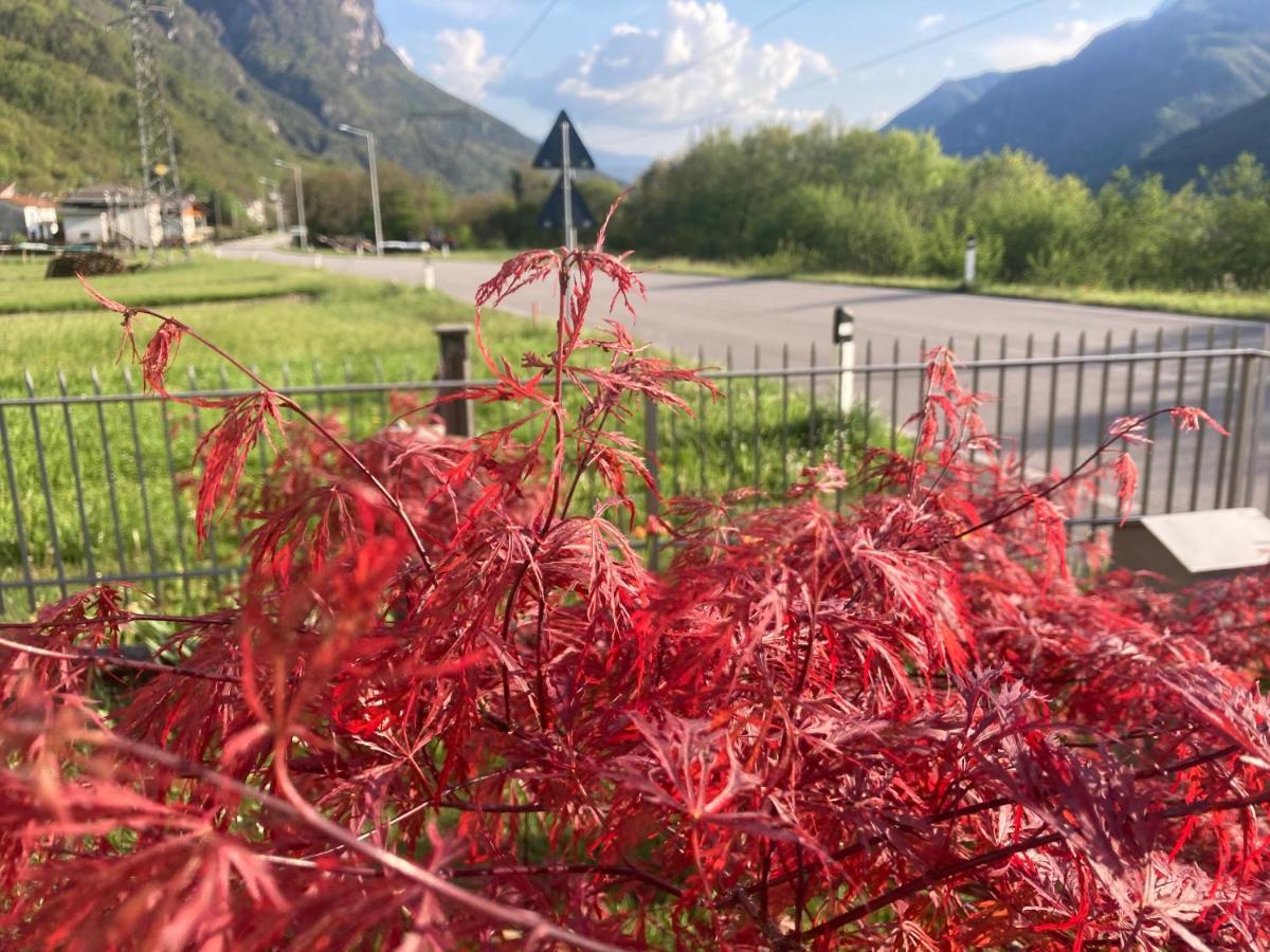 Meraki Dolomiti Longarone Εξωτερικό φωτογραφία